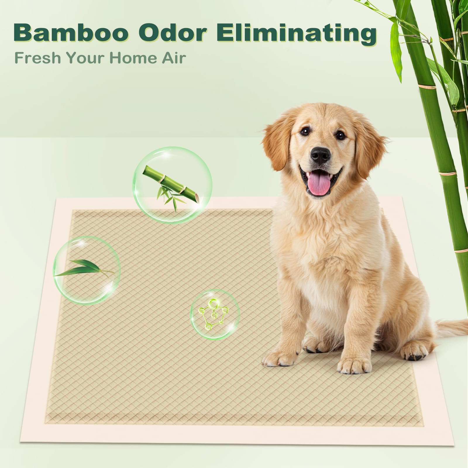 MIZOK 22x22 pad features natural odor-control and training support.