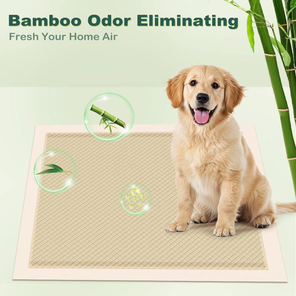 MIZOK 22x22 pad features natural odor-control and training support.