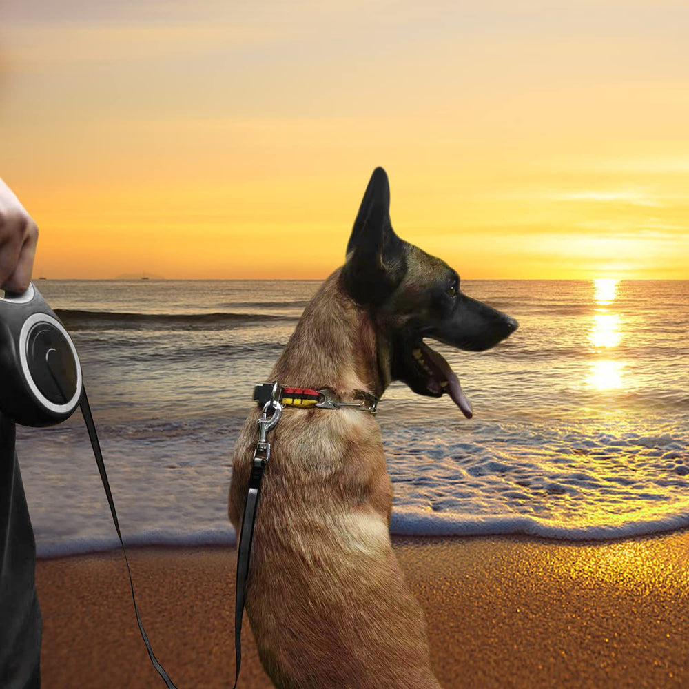 MK-DEF large-dog leash supports dogs up to 110 lbs.