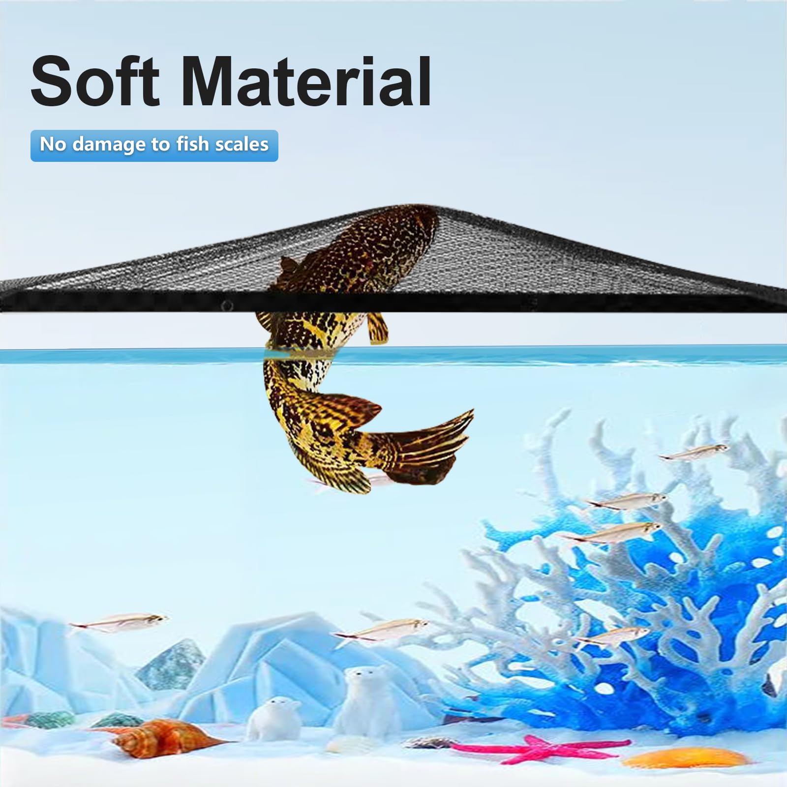 MLEJU offers a 12-month warranty and responsive support.