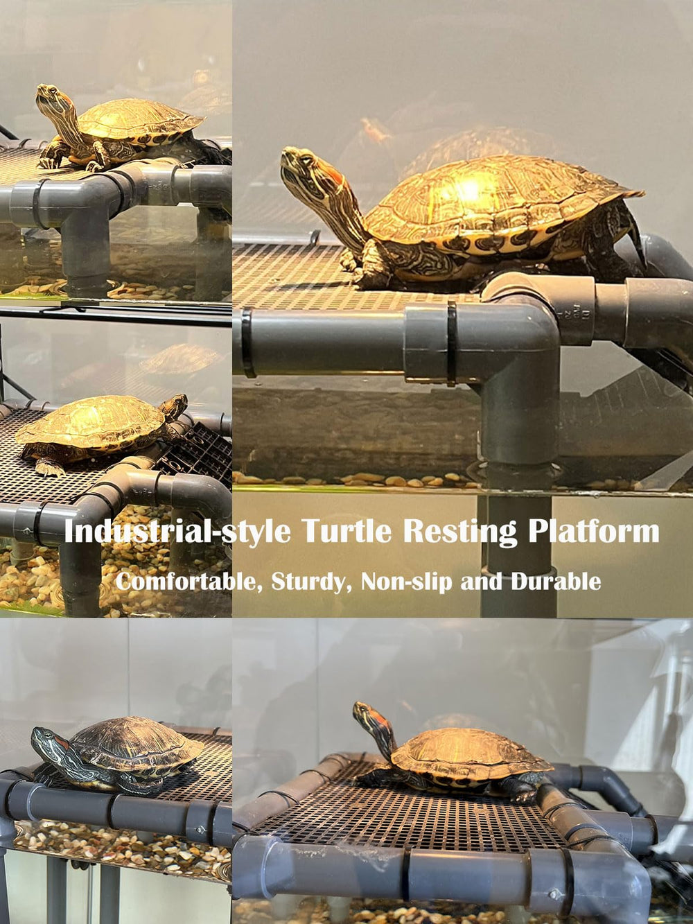 MLONDHSU compatibility with 25–55 gallon tanks for versatile turtle care.