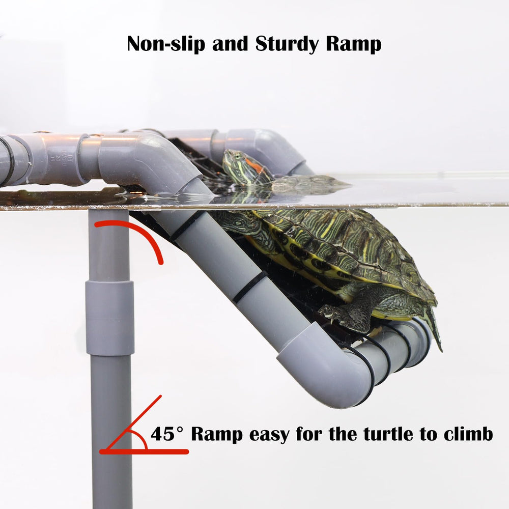 MLONDHSU dry resting area supports basking behavior in a safe setup.