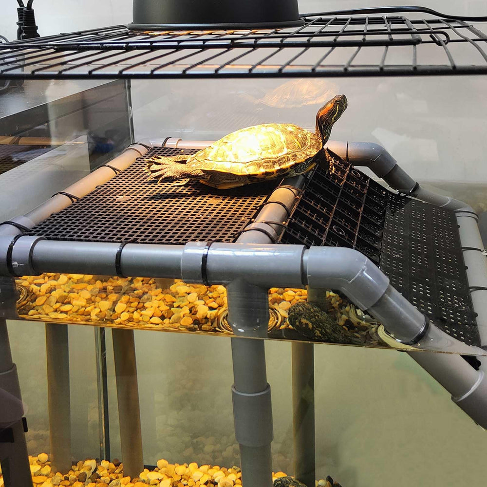 MLONDHSU non-slip ramp showing secure climbing access for turtles.