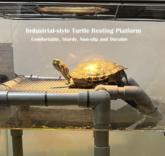 MLONDHSU sturdy legs and suction cups keep the platform stable in the tank.