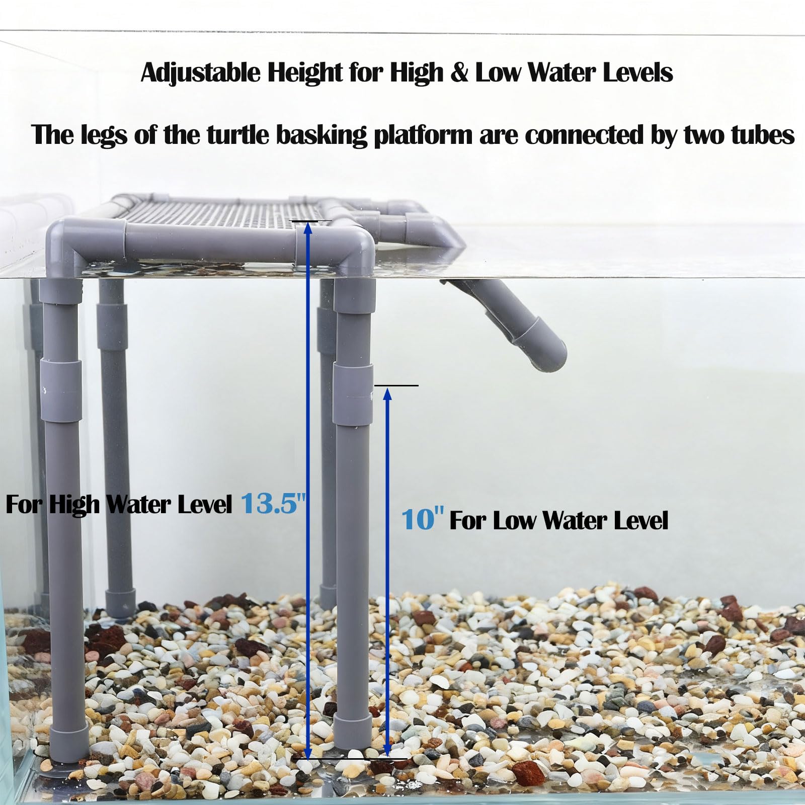 MLONDHSU suction cups secure the dock for active turtles.