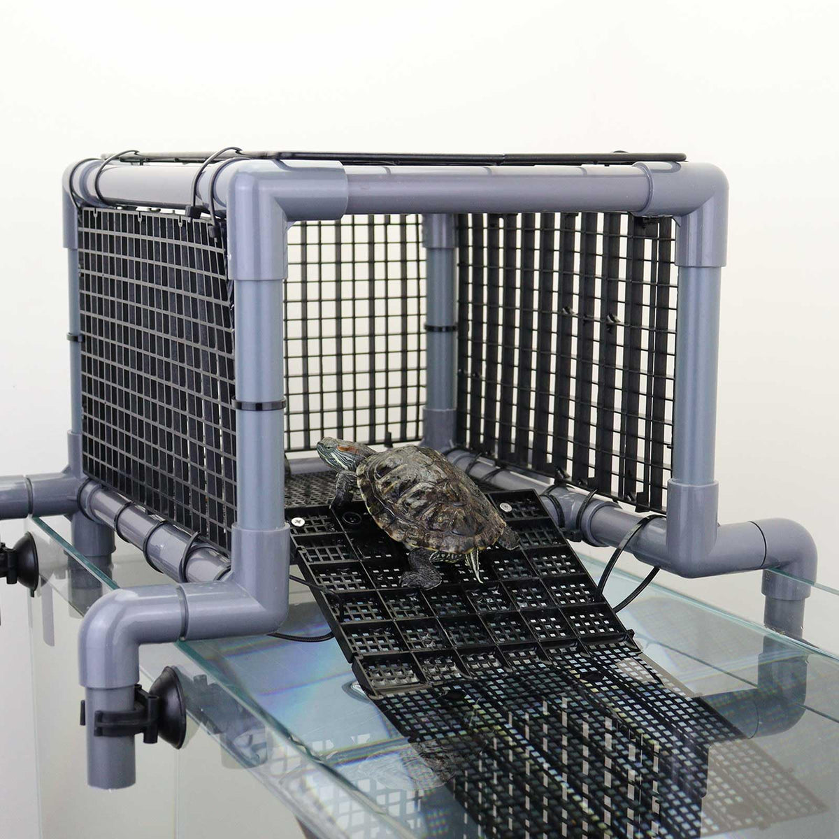MLONDHSU Turtle Basking Platform Dock top view shows spacious basking area