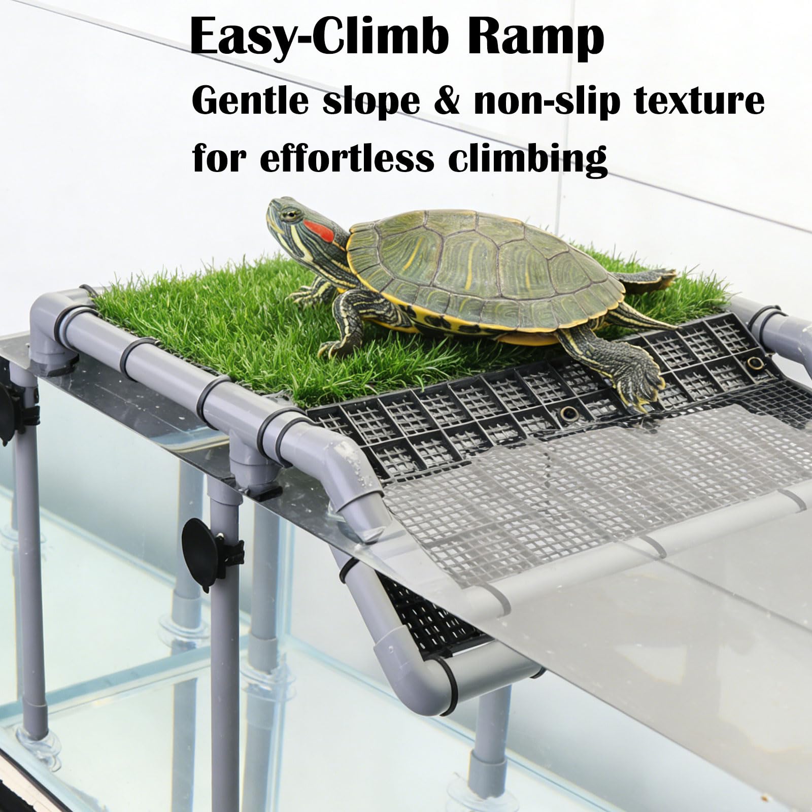 MLONDHSU bottom suction cups secure rock-solid attachment on tank glass.