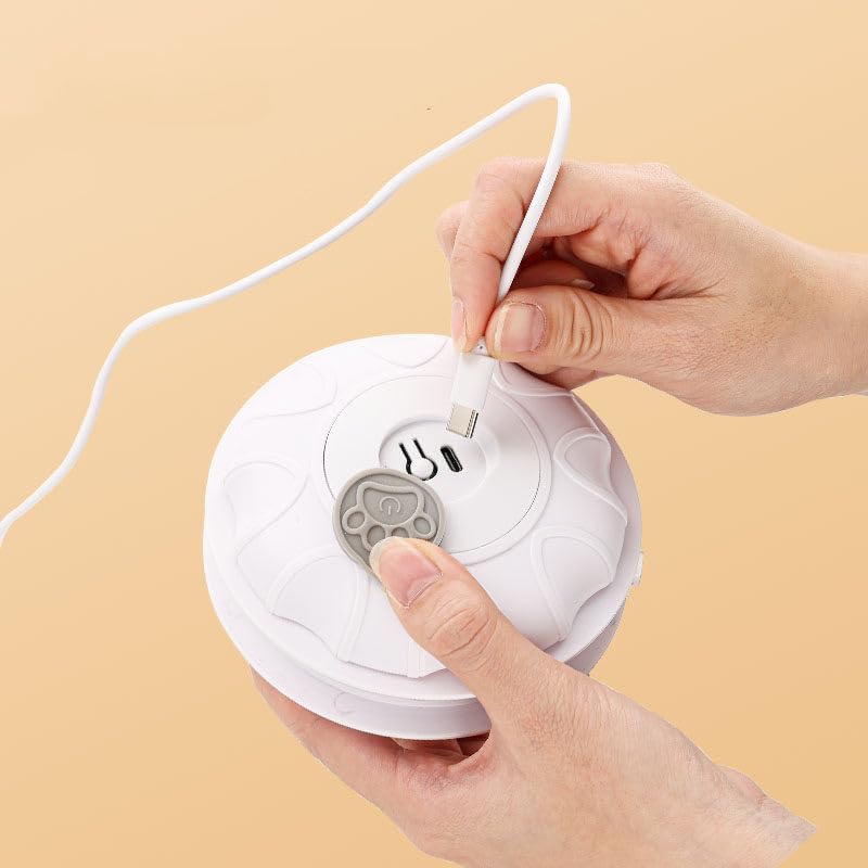 Mloowa cat toy includes two wands for varied enrichment