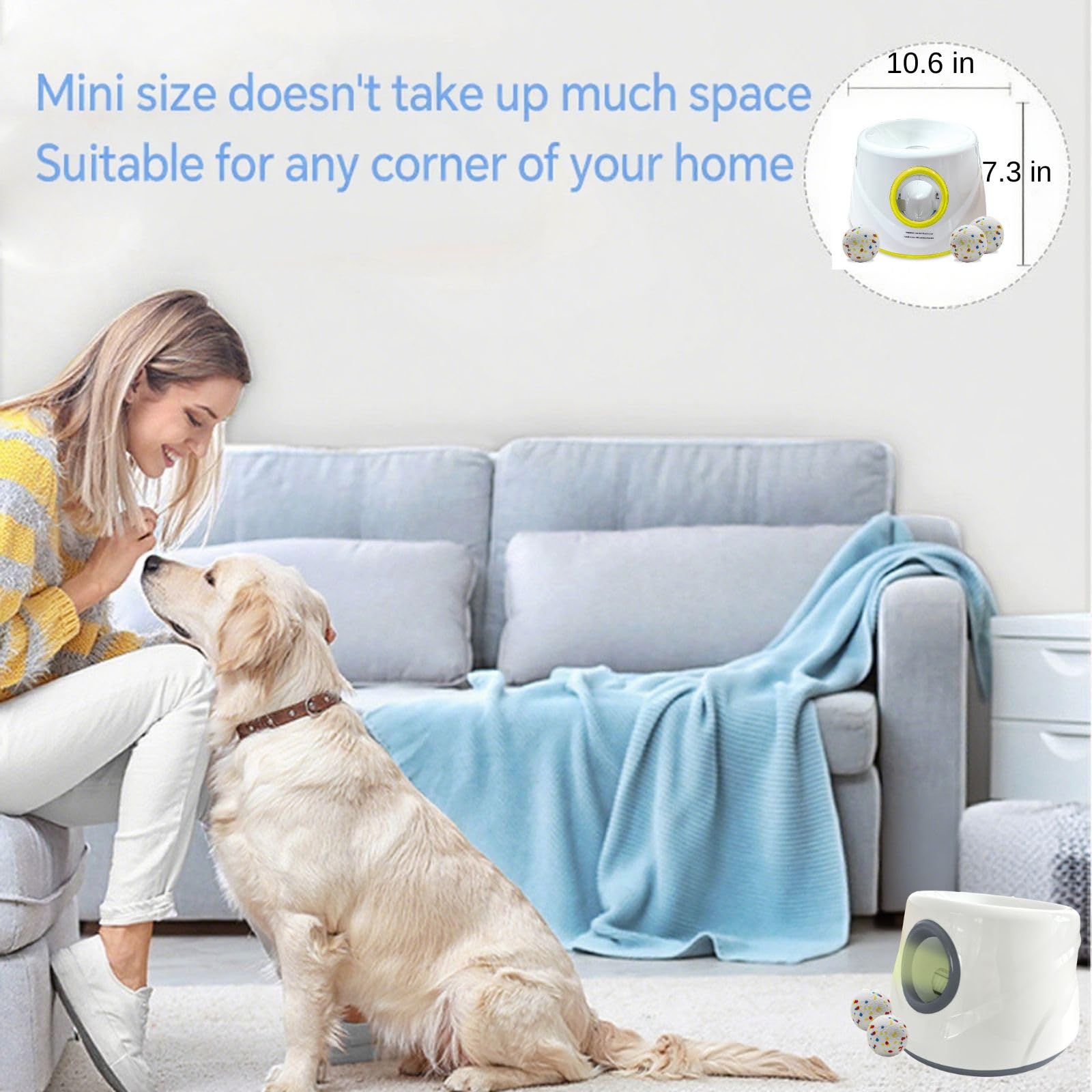 Mloowa dog fetch indoors demonstrates flexible play in small spaces