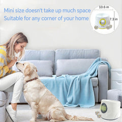 Mloowa dog fetch indoors demonstrates flexible play in small spaces