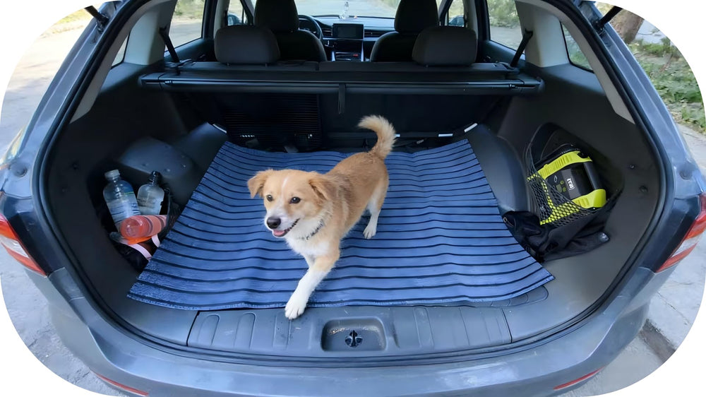 Mluyeri crate mat shows thick foam cushioning for comfort