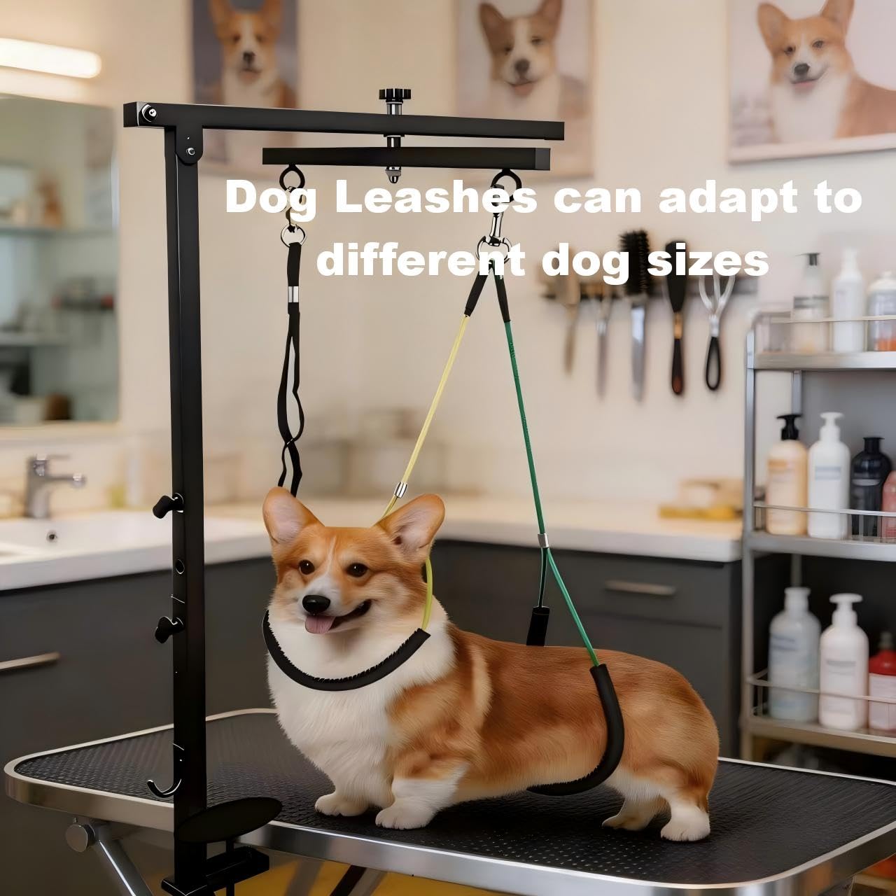 Mluyeri safe dog positioning enables stable grooming sessions