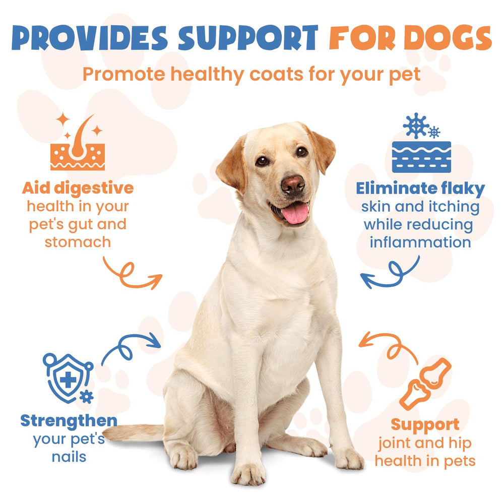 MNQAXZ collagen for dogs dropper dispense used in meals for convenient joint care.