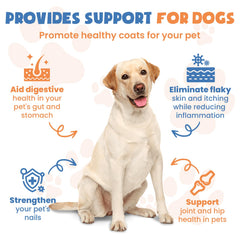 MNQAXZ collagen for dogs dropper dispense used in meals for convenient joint care.