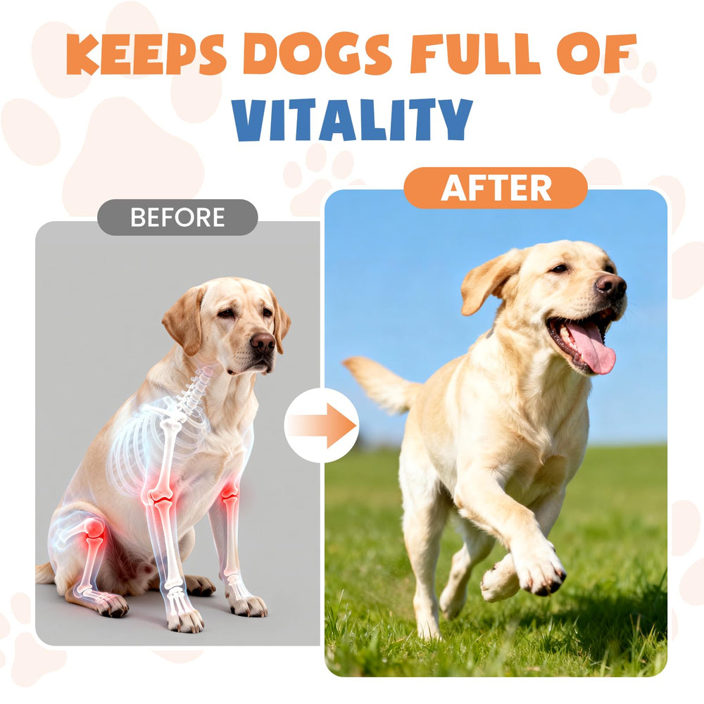 MNQAXZ collagen for dogs liquid texture close view of clear liquid for easy mixing.