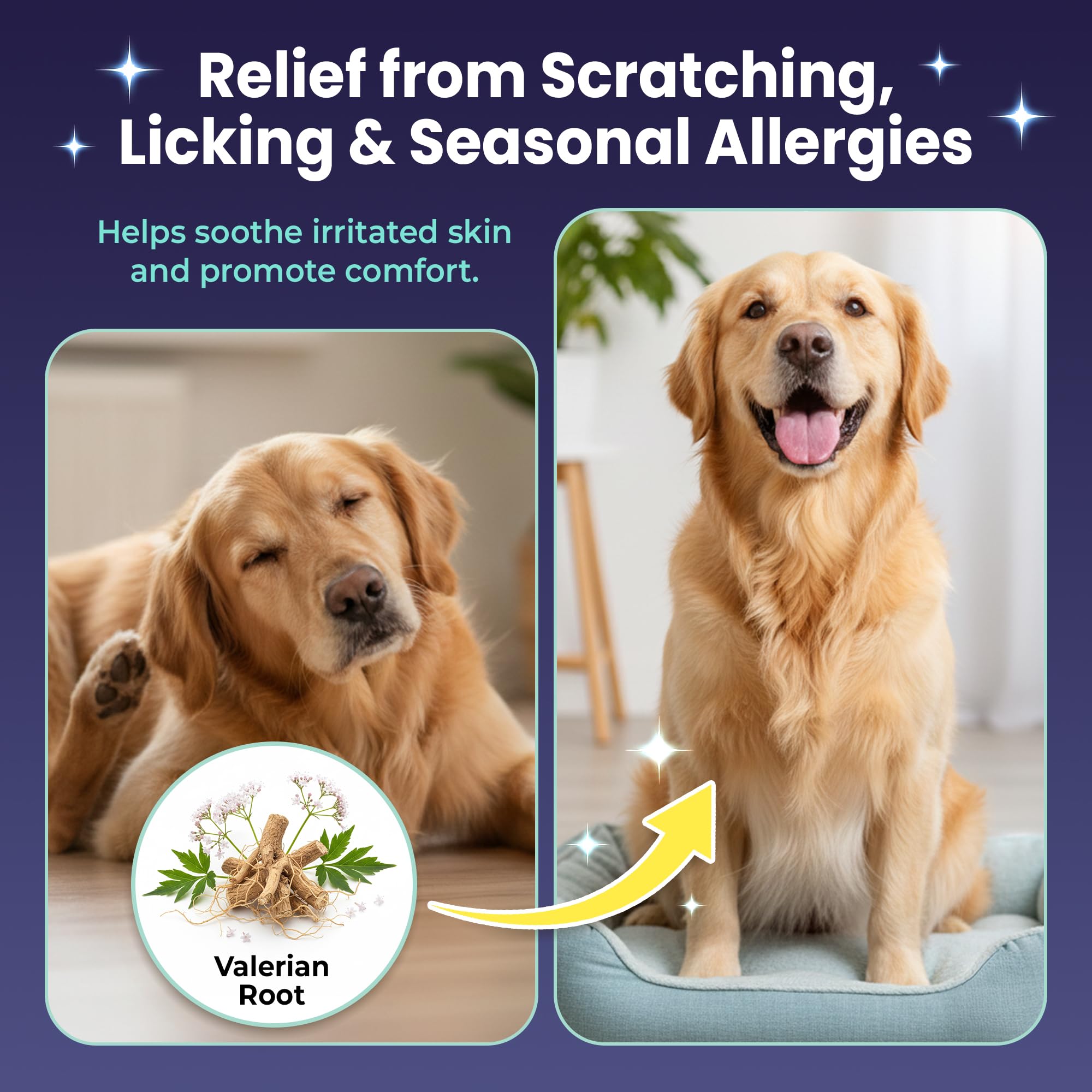Mo & Haku chicken-flavor soft chews close-up for daily treat and routine support.