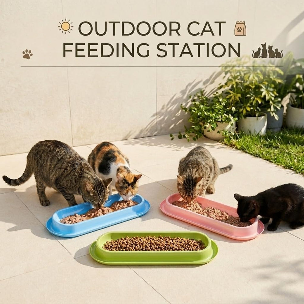 MOCHENG HUA bowls suitable for indoor and outdoor feeding environments.