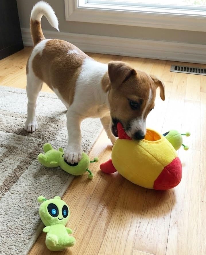 MODERN WAVE small-size dog toy designed for puppies and small breeds.