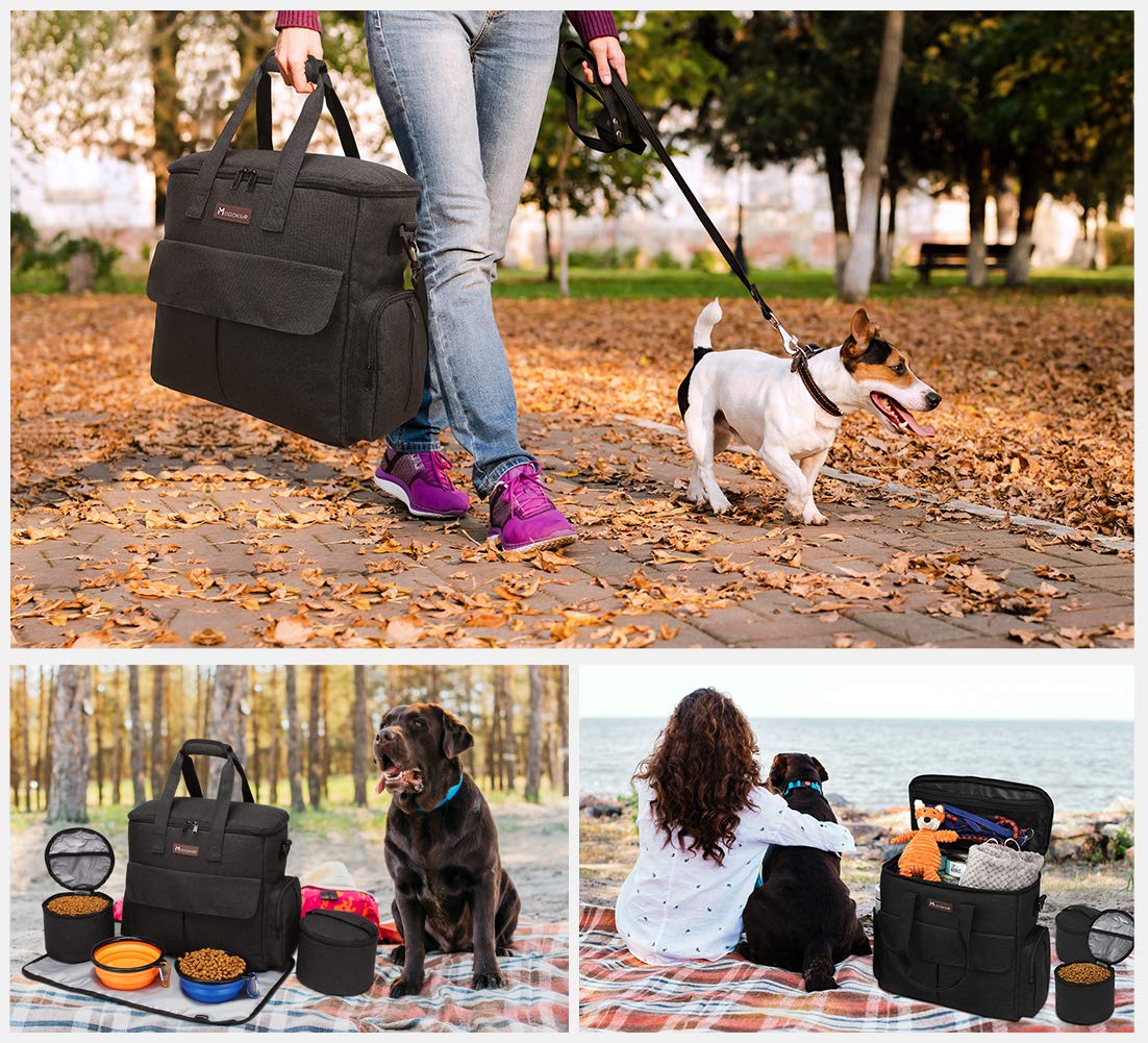 Modoker dog travel bag use-case park or hike demonstrates versatile travel companion.
