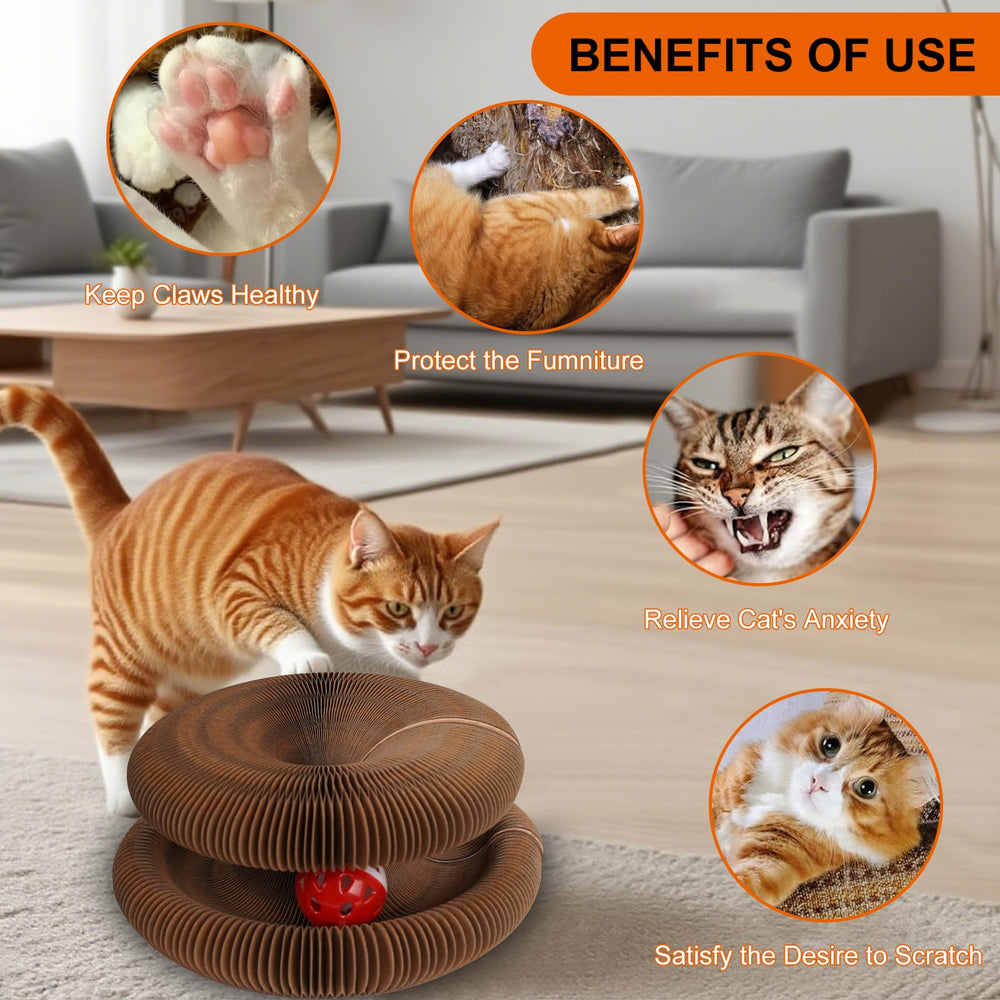 MoeQOassis Kitty Kurls magnets at ends close-up showing safe design