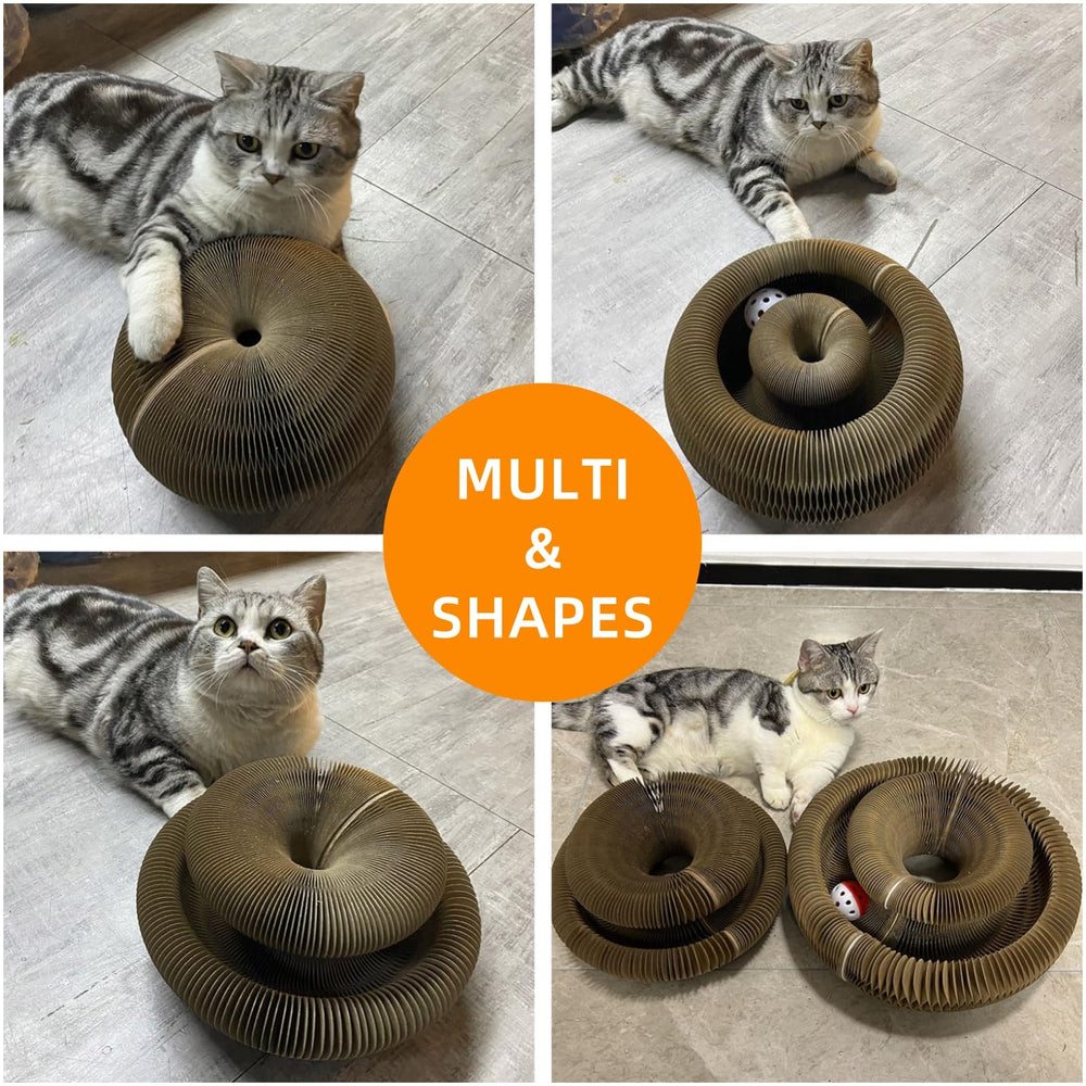 MoeQOassis Kitty Kurls protects furniture by satisfying scratching needs