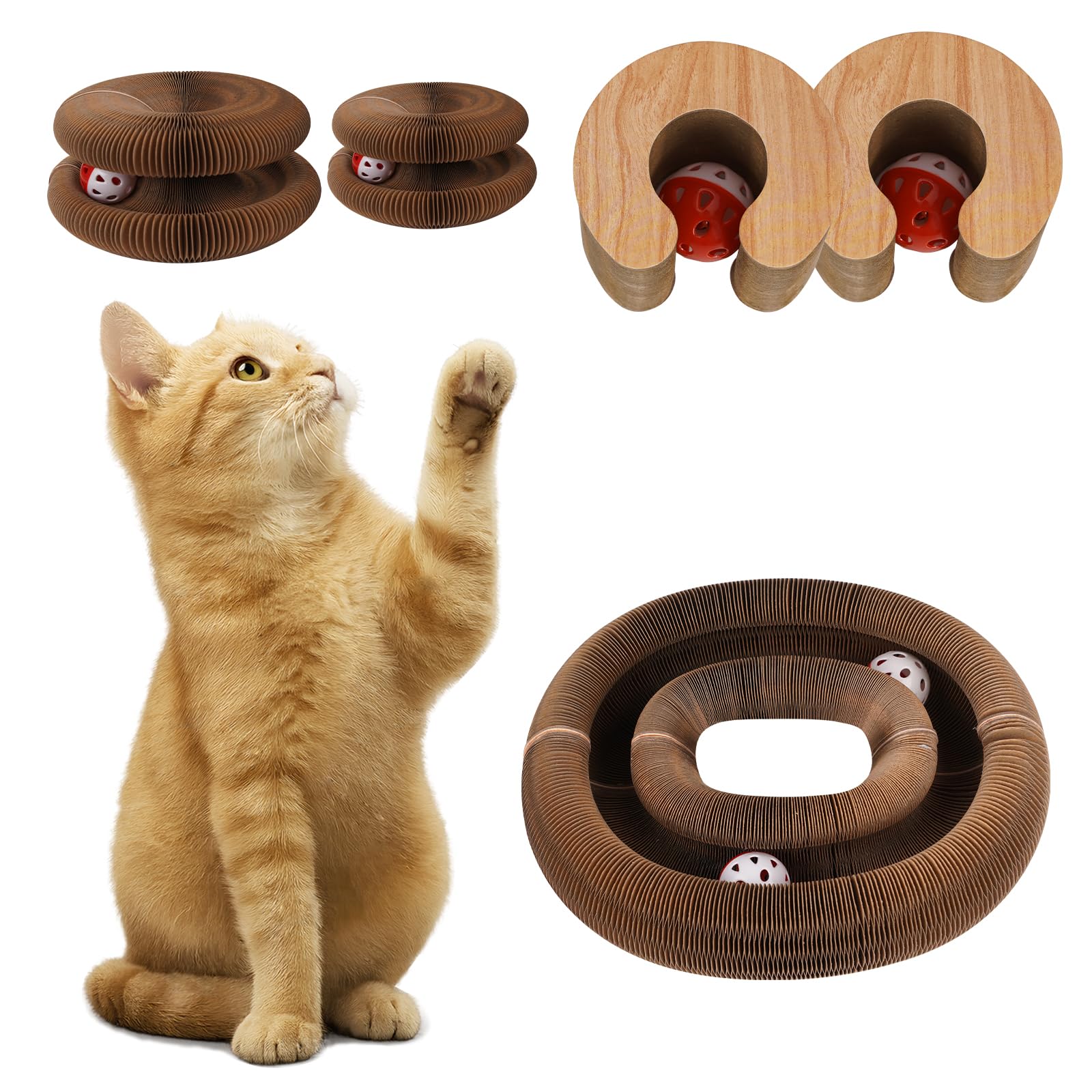 MoeQOassis Kitty Kurls two-pack for multi-room fun