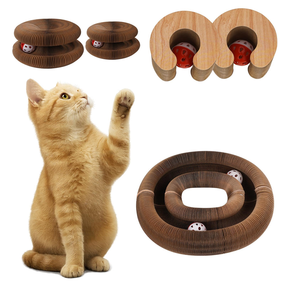 MoeQOassis Kitty Kurls two-pack for multi-room fun