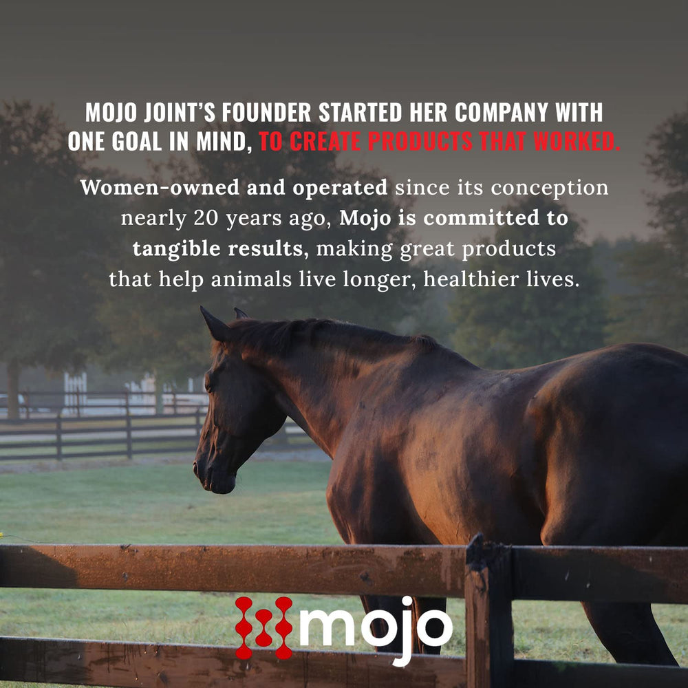 Mojo Joint emphasizes USA-made, woman-owned ethos.