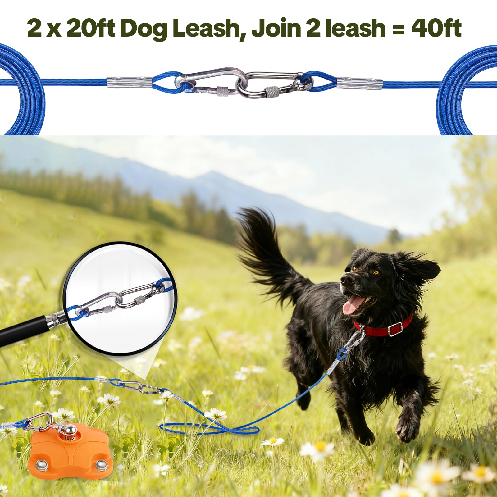 MOLANZ 2x20ft cable set extended between anchors for flexible tethering