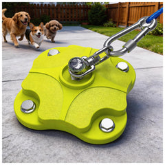 MOLANZ 360 swivel action demonstrates tangle-free rotation for two dogs