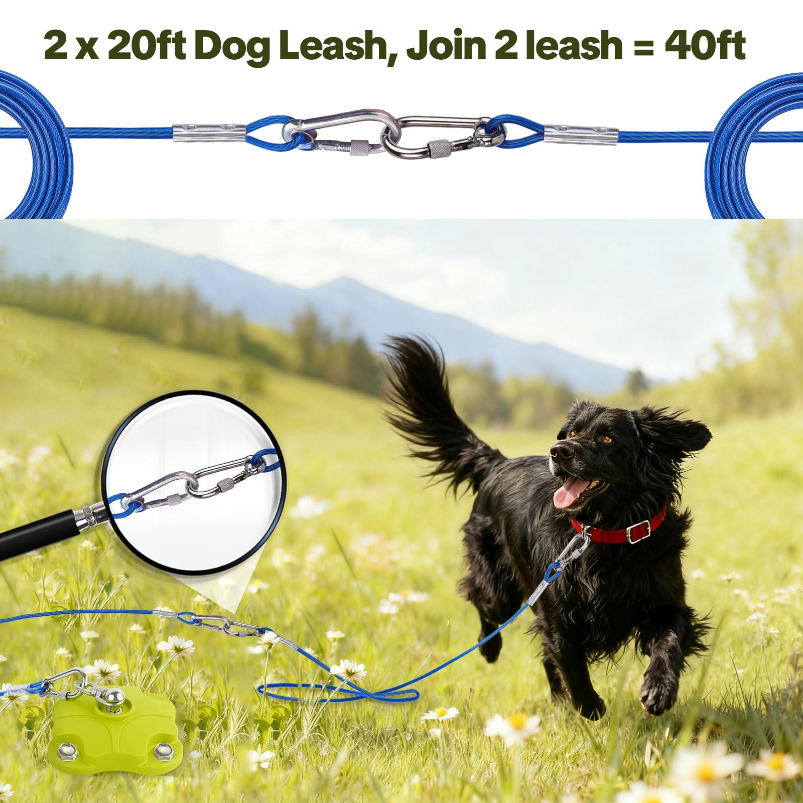 MOLANZ dual 360° swivels prevent tangles during active play.