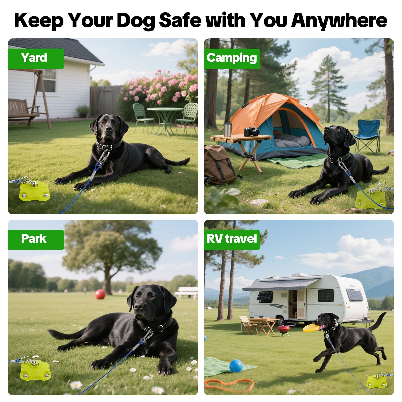 MOLANZ portable dog-run kit for backyard, camping, or beach adventures.