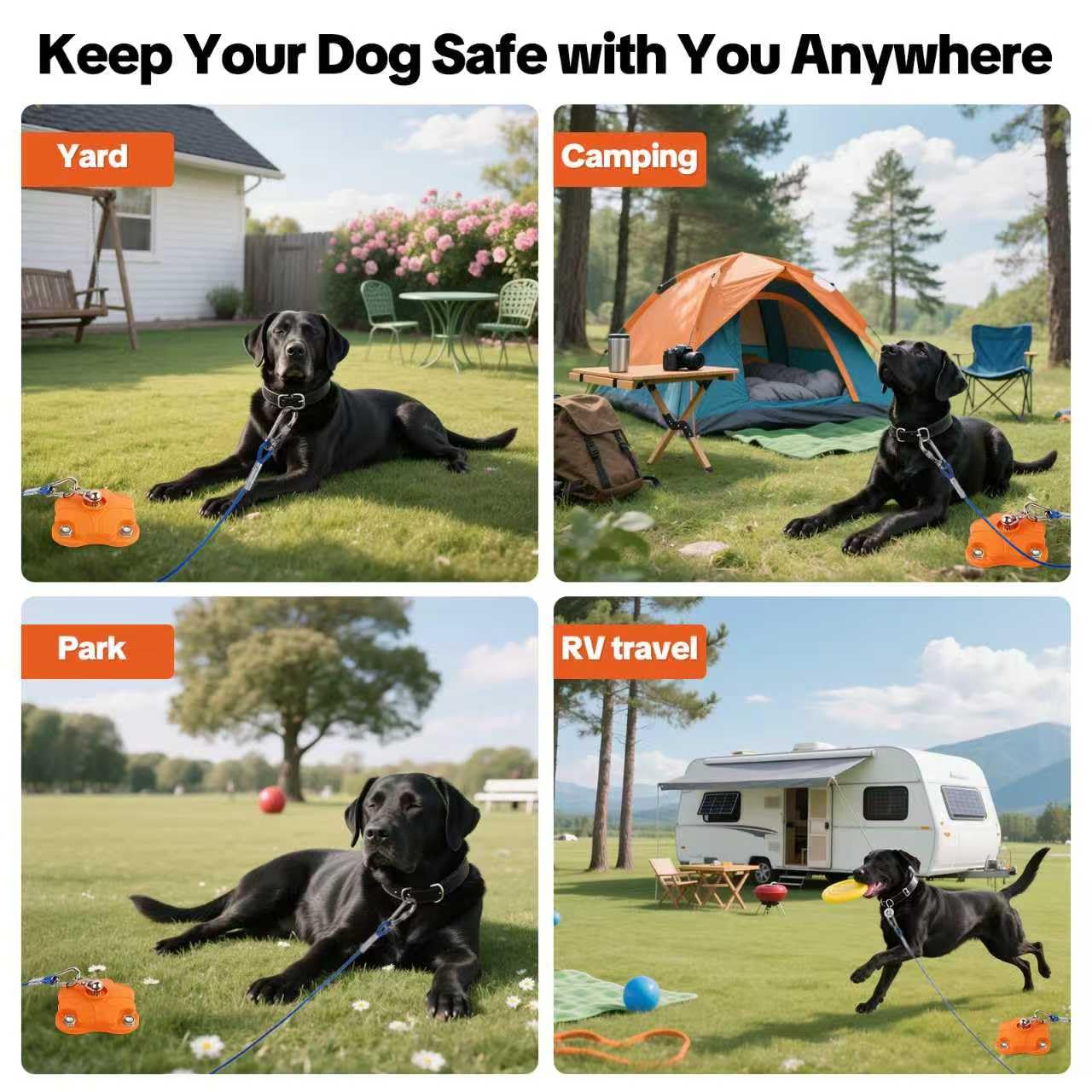 MOLANZ portable outdoor dog tie-out gear ready for camping or yard use