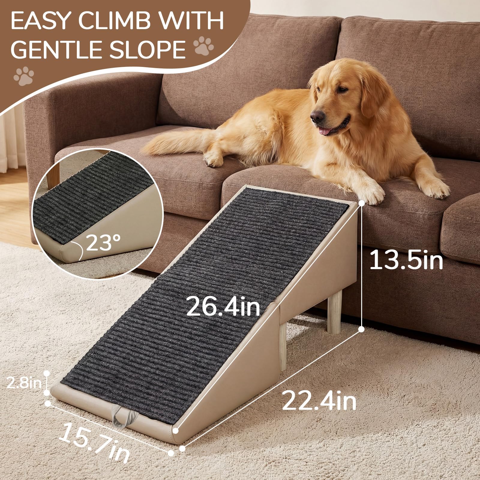 MOLIBYME ideal for small and senior dogs with gentle 23-degree slope.