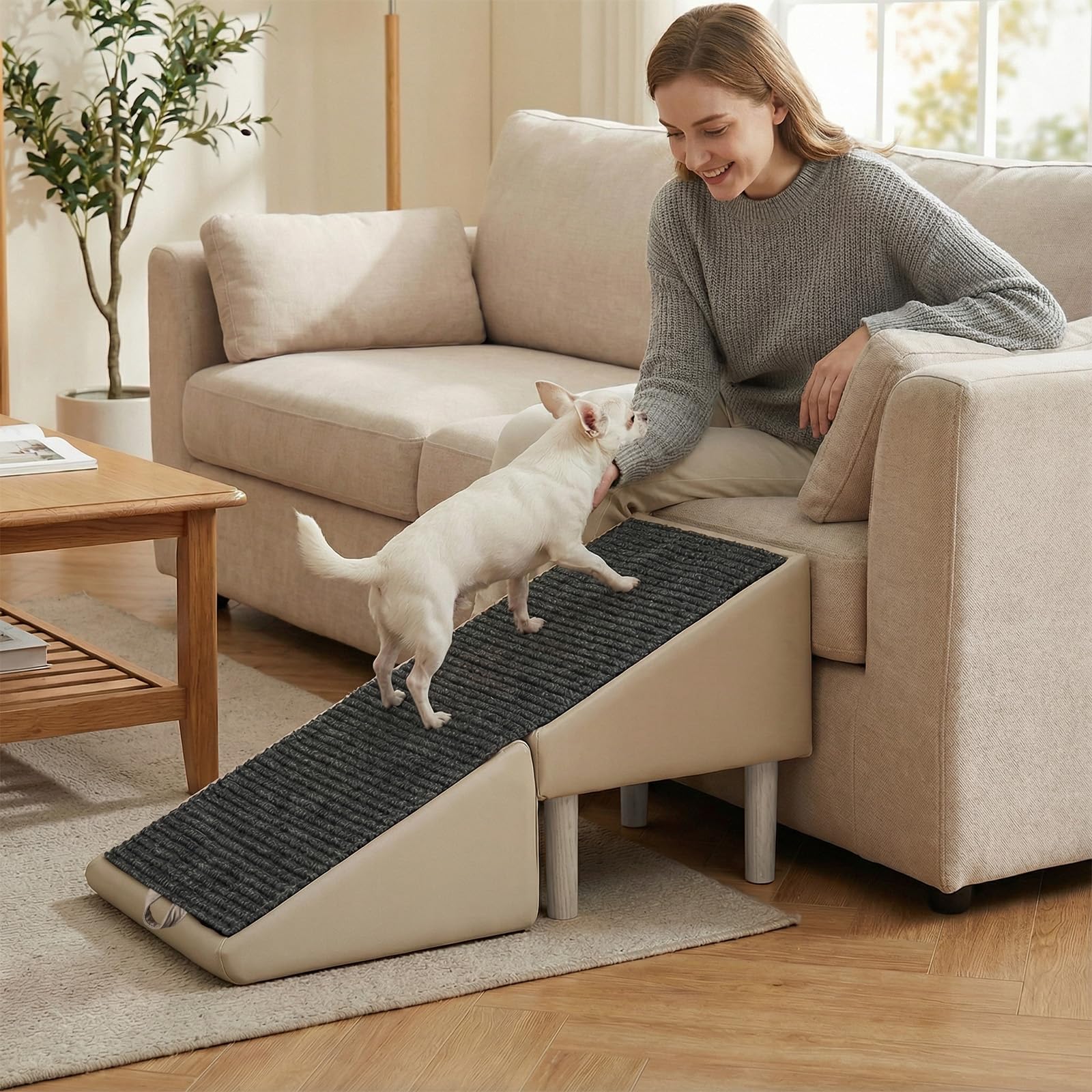 MOLIBYME dog safety ramp anti-slip fabric secures ascent and descent.