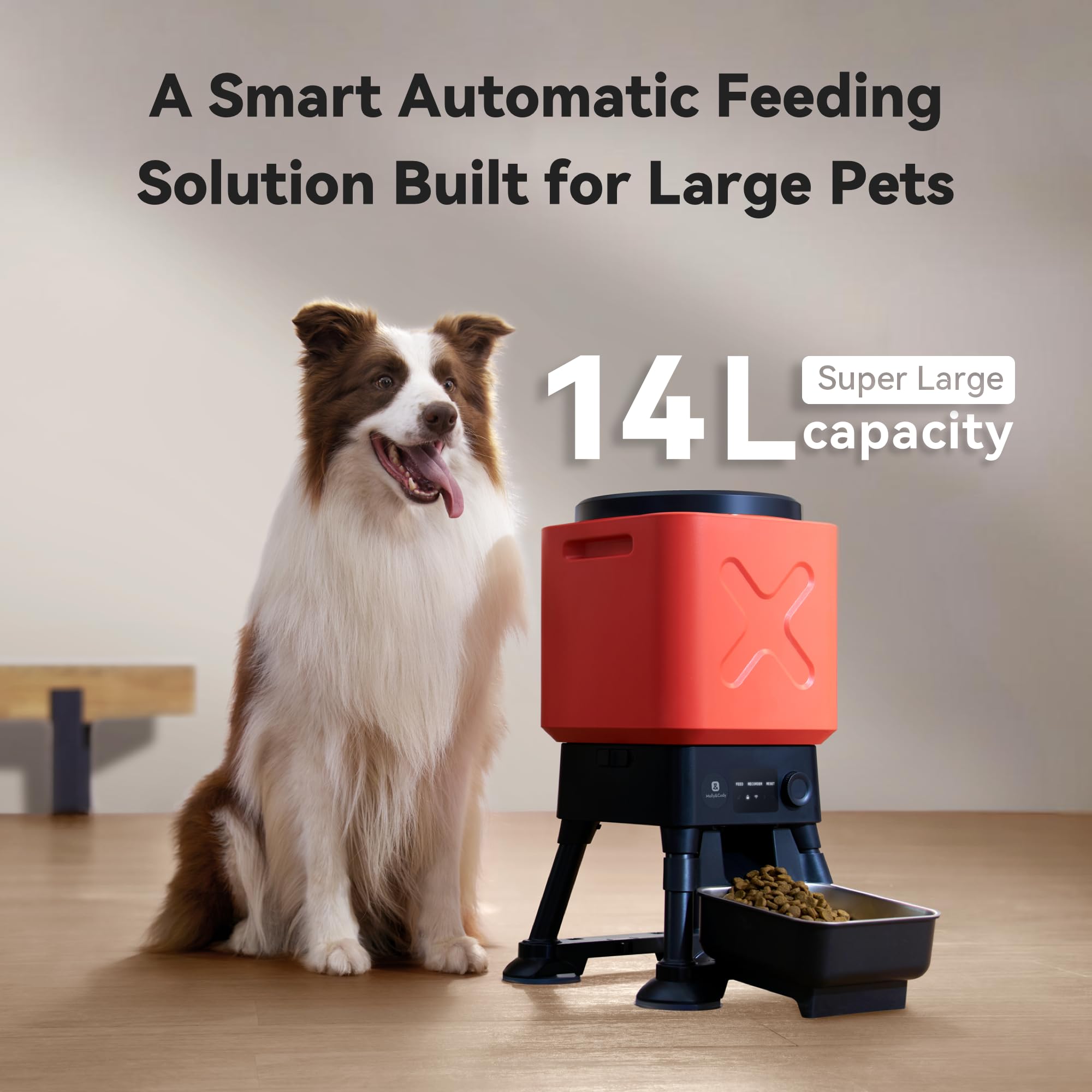 MOLLY&CODY app-controlled feeder screen showcases remote meal scheduling.