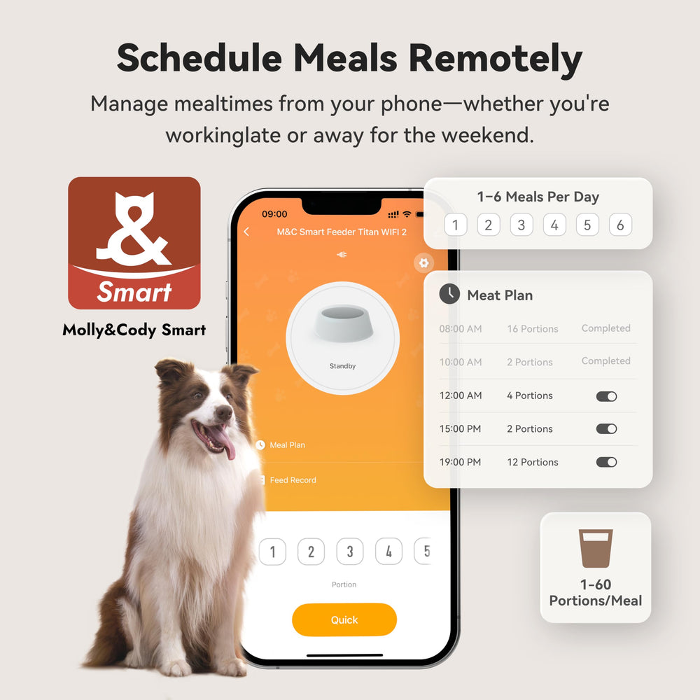 MOLLY&CODY 10-second voice message comforts pets at mealtime.