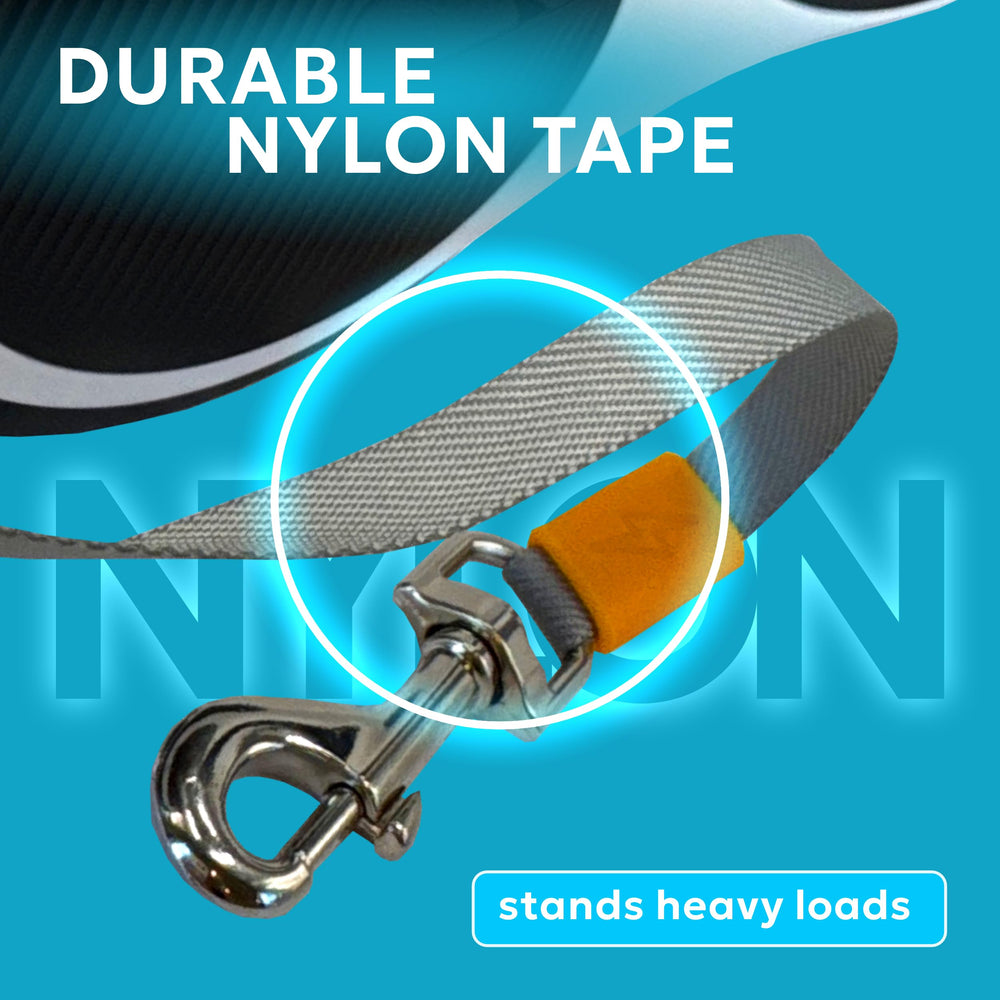 MOLNY dog-walking-setup outdoor-use demonstrates reliable handling in real-world strolls.