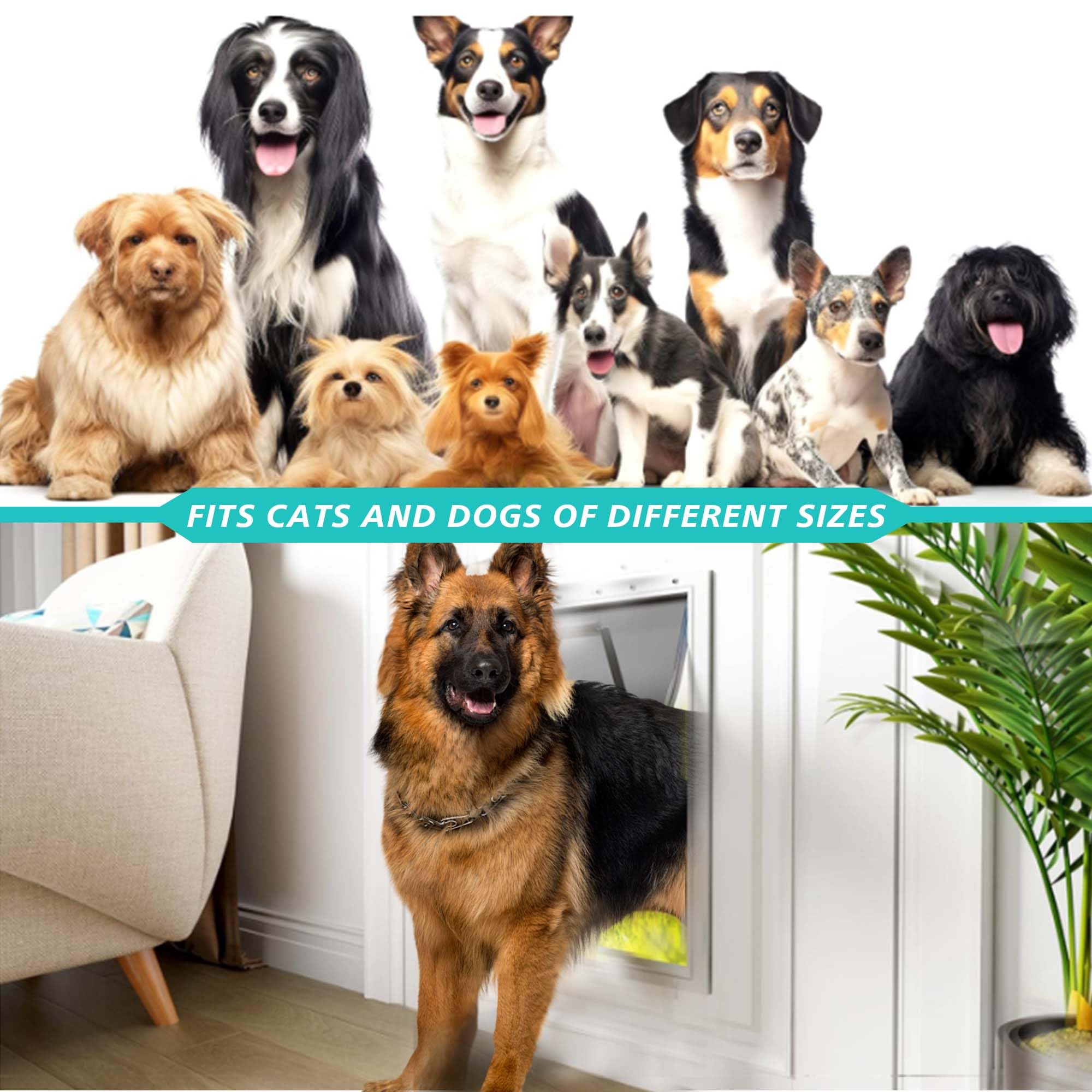 MOLYLY dog-door-flap-in-use showing pets passing smoothly through secure entry