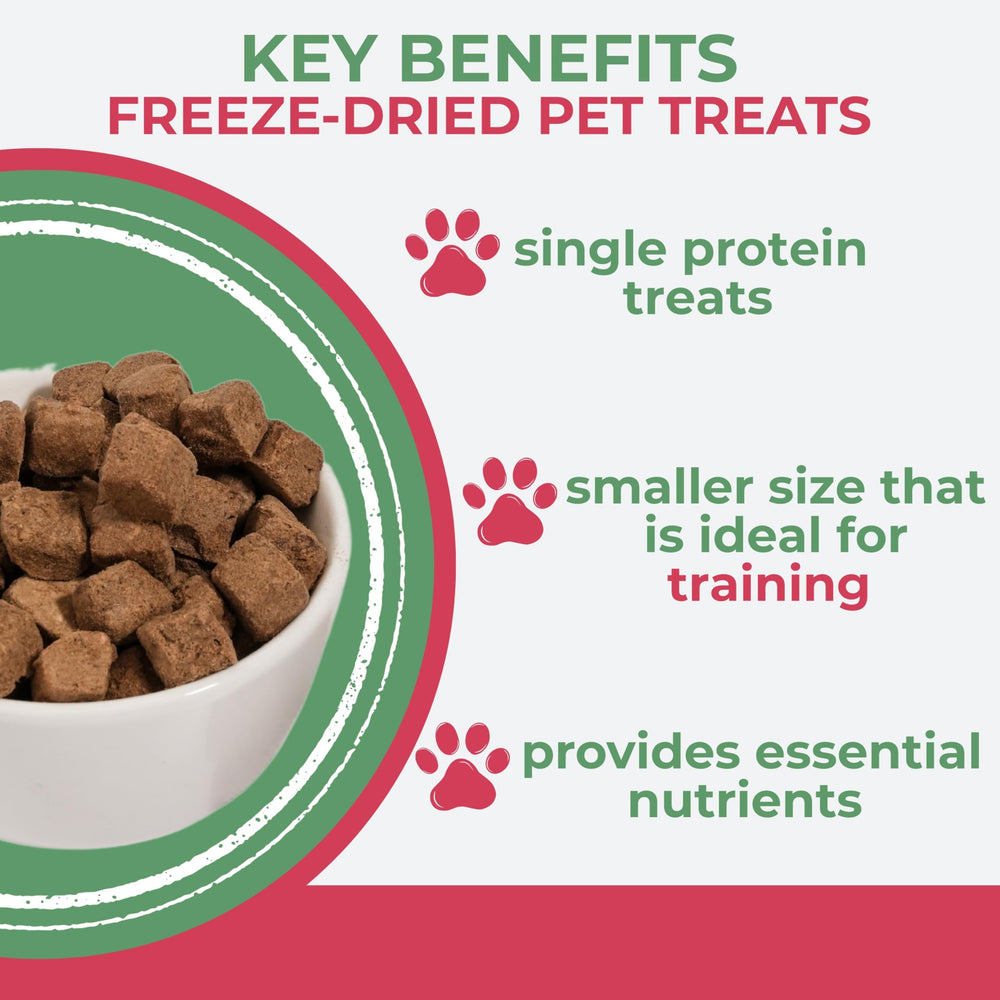 Momentum Carnivore Grain-Free Gluten-Free Treats aid gentle digestion