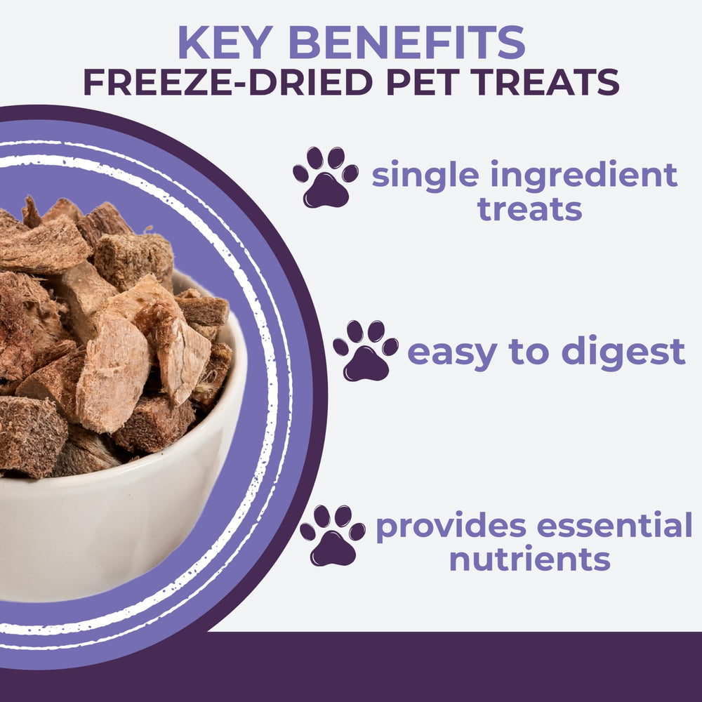 Momentum Carnivore grain-free, gluten-free treats ideal for pets with sensitivities.