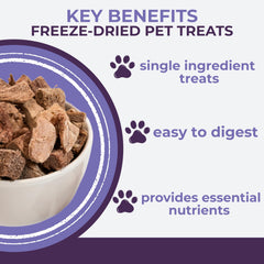 Momentum Carnivore grain-free, gluten-free treats ideal for pets with sensitivities.