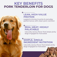 Momentum Carnivore high-protein pork treat supports active dogs and cats.