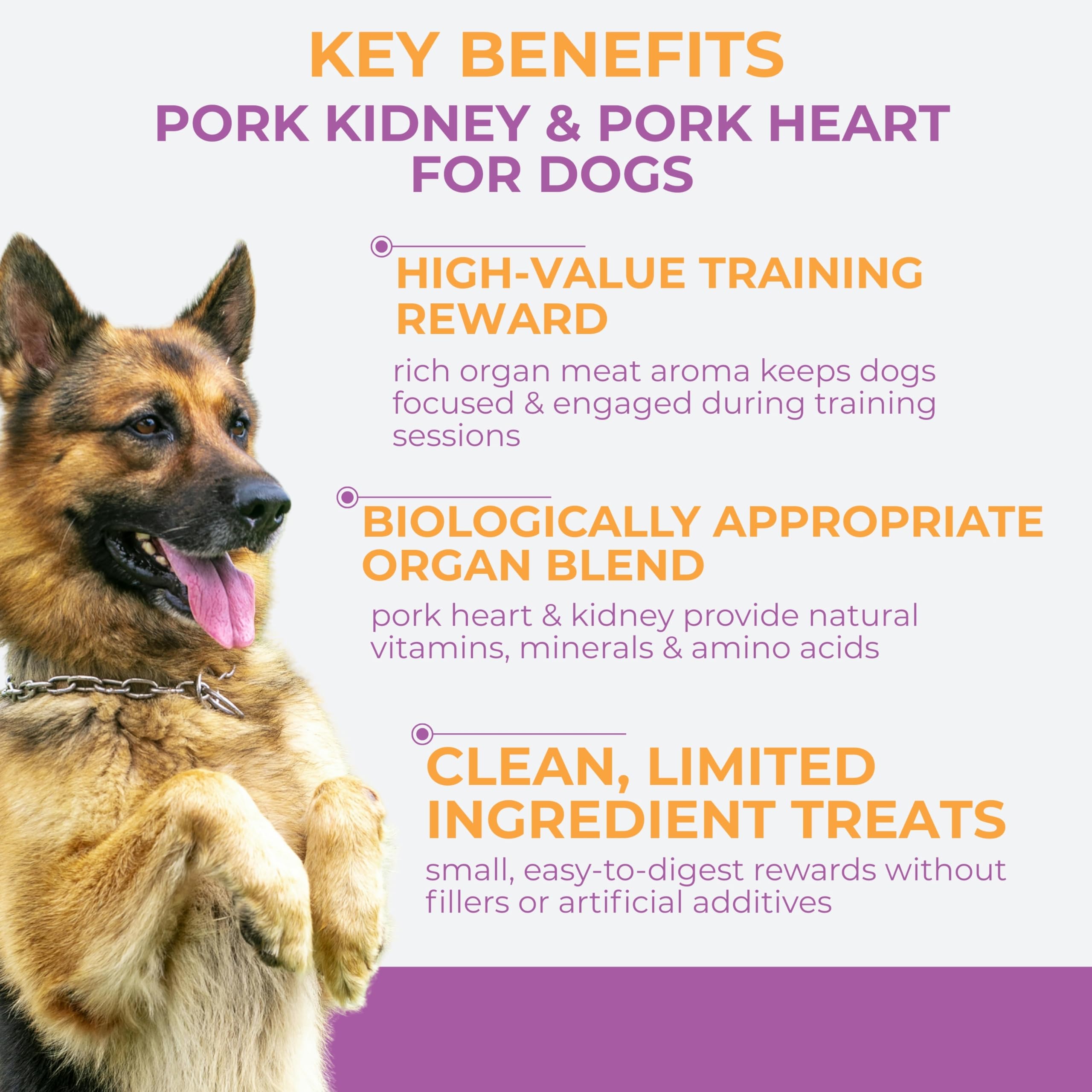 Momentum Carnivore Nutrition high-protein training treats support active dogs.