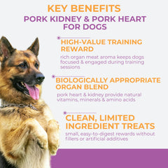 Momentum Carnivore Nutrition high-protein training treats support active dogs.