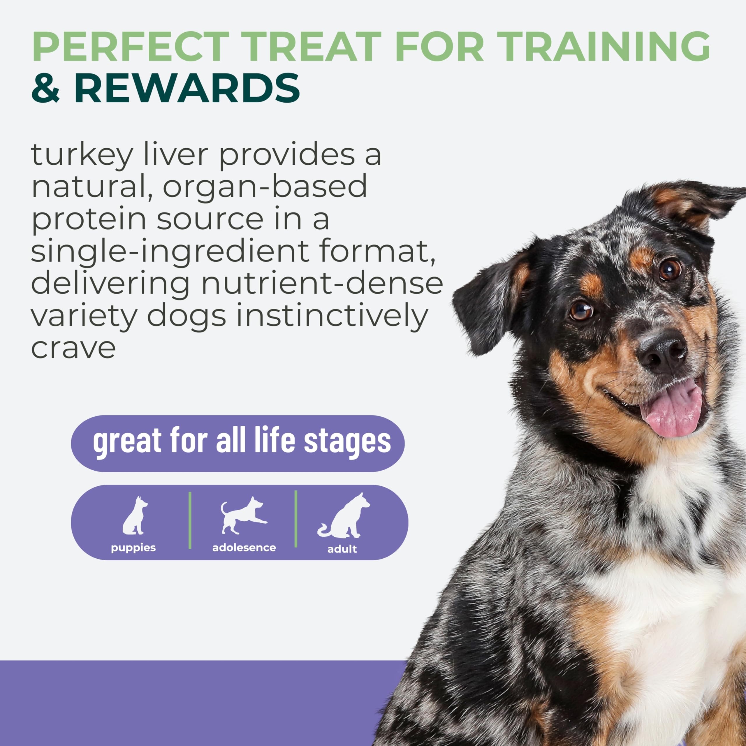 Momentum Carnivore Turkey Liver USA-made seal signals trusted quality.