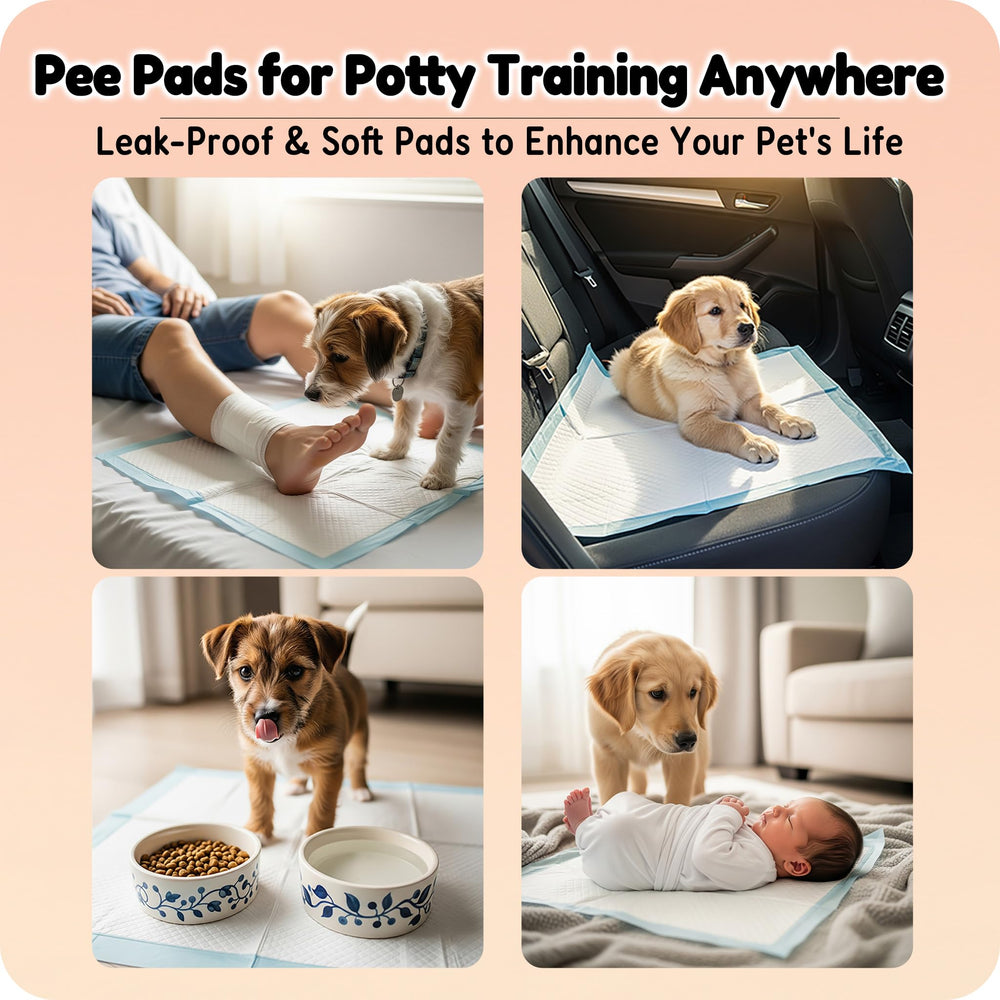 MoMoCo Pink Puppy Pads 23x23 suitable for senior dogs and incontinence needs.