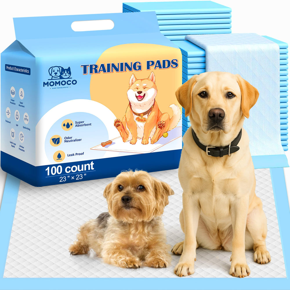 MoMoCo Sleek blue pads blend with interiors while staying practical.