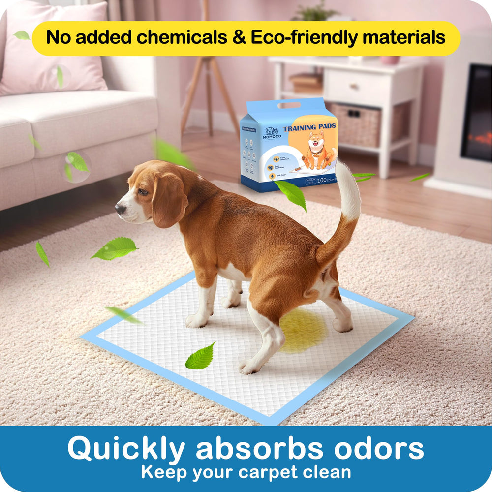MoMoCo Waterproof backing guards hardwood floors during training.