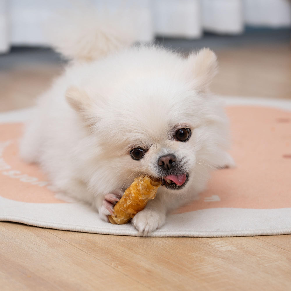 MON2SUN helps clean your dog's teeth through crunchy texture